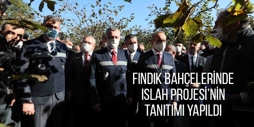 Fındık Bahçelerinde Islah Projesi’nin tanıtımı yapıldı