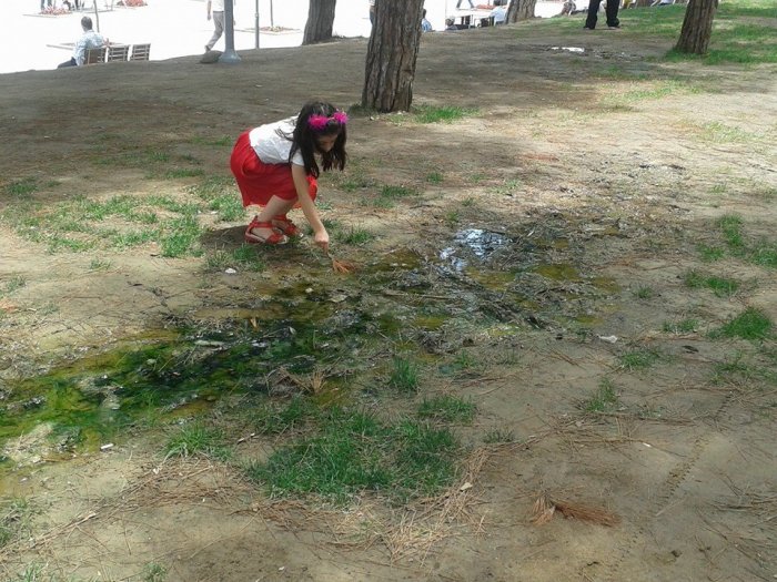 Çamlık Parkı’ndaki kötü görüntü