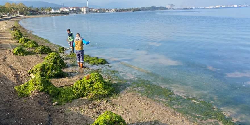 Kocaeli’de sonbahar temizlik harekâtı