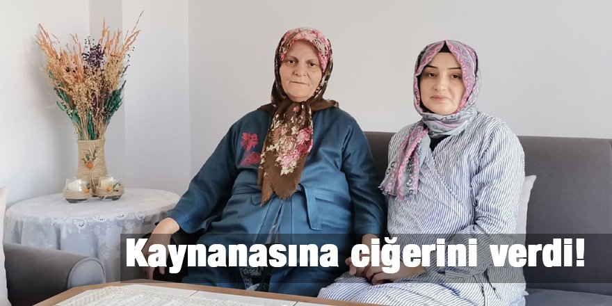 Kaynanasına ciğerini verdi!