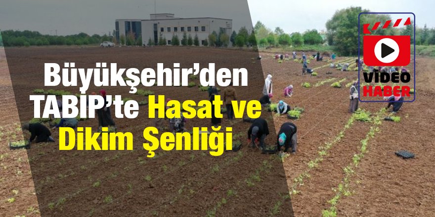 Büyükşehir’den TABİP’te Hasat ve Dikim Şenliği