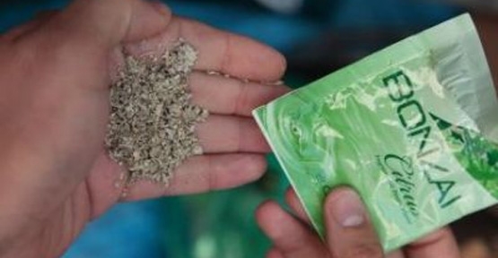 Bonzai bir can daha aldı