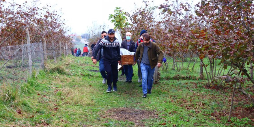 Fındık tarlasında ceset bulundu