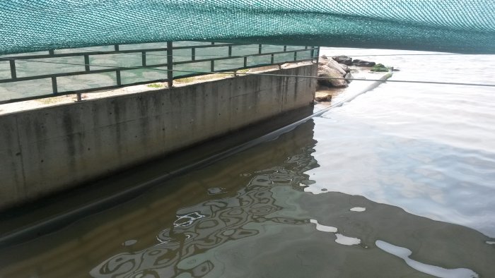 Kanalizasyon borusunu denize bağladılar