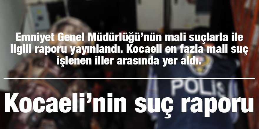 Kocaeli’nin suç raporu