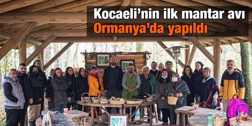 Kocaeli’nin ilk mantar avı Ormanya’da yapıldı