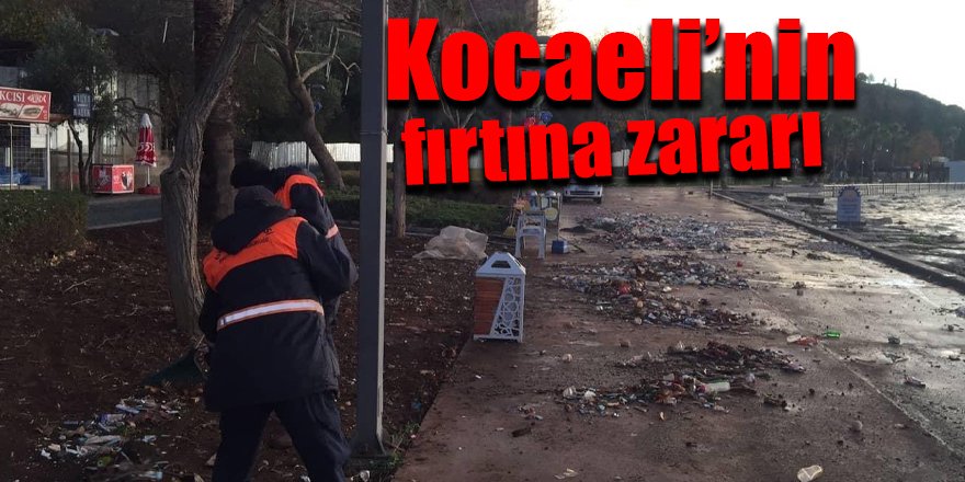 Kocaeli'nin fırtına zararı