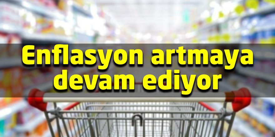 Enflasyon artmaya devam ediyor