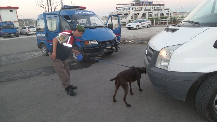 Gebze’de Bonzai operasyonu