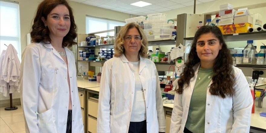 GTÜ’lü hocaların projesine Avrupa'dan destek