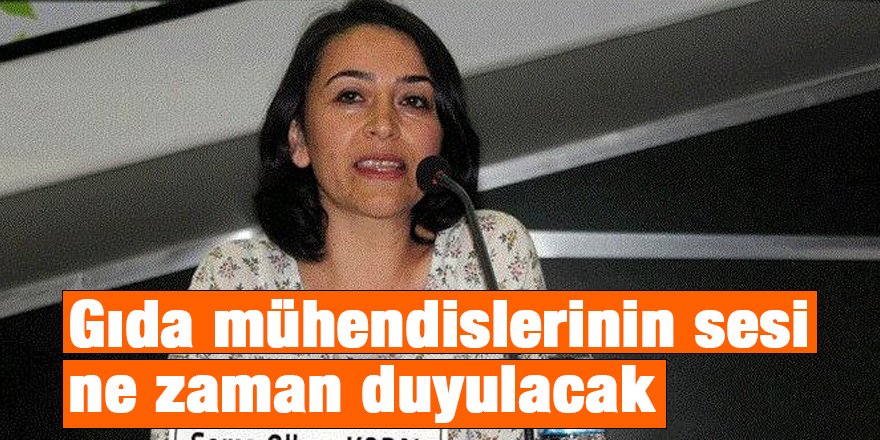 Gıda mühendislerinin sesi ne zaman duyulacak