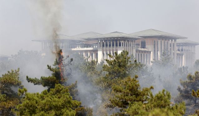 Atatürk Orman Çİftliği'nde yangın!
