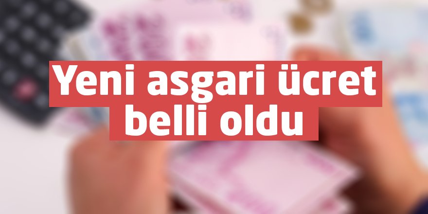 Yeni asgari ücret belli oldu