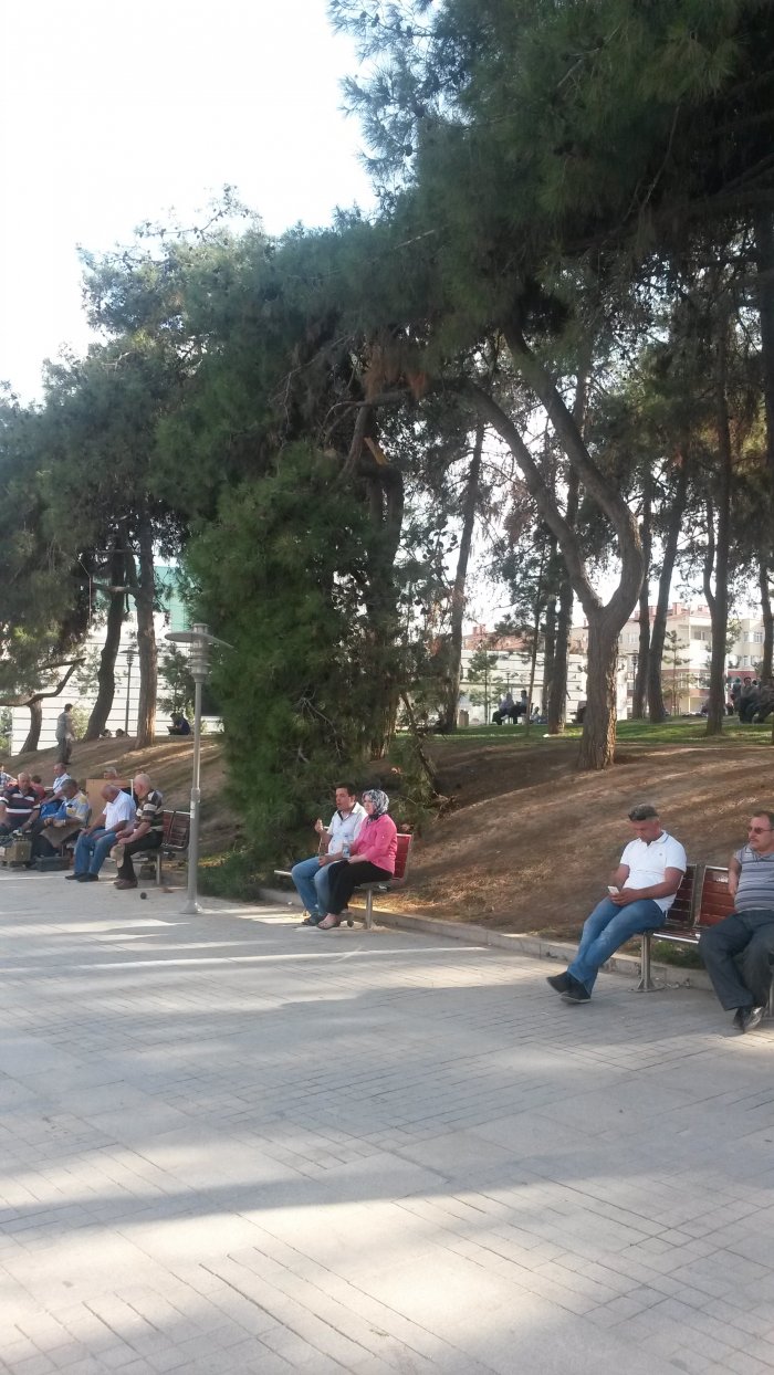 Kopan dal faciaya neden oluyordu