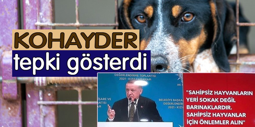 KOHAYDER tepki gösterdi