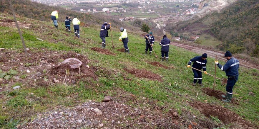 Büyükşehir Hisareyn’e 3 bin 500 fidan dikti