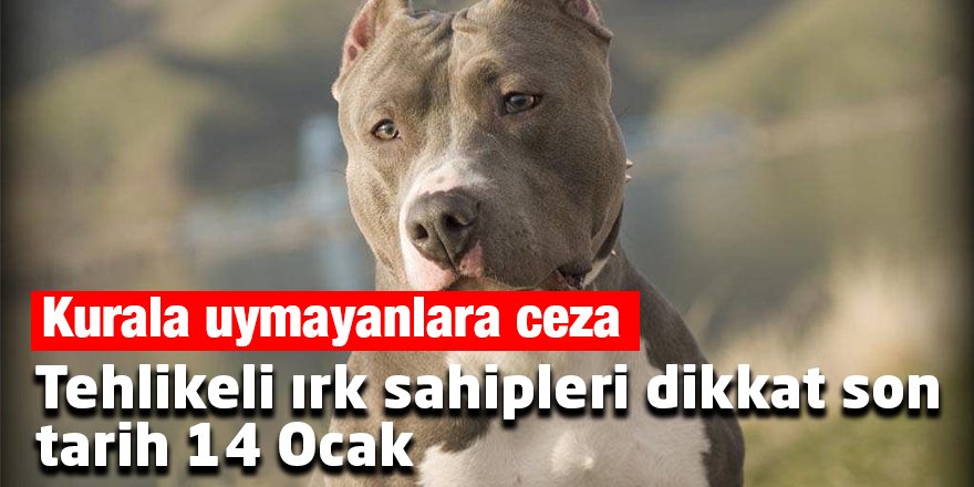 Tehlikeli ırk sahipleri dikkat son tarih 14 Ocak
