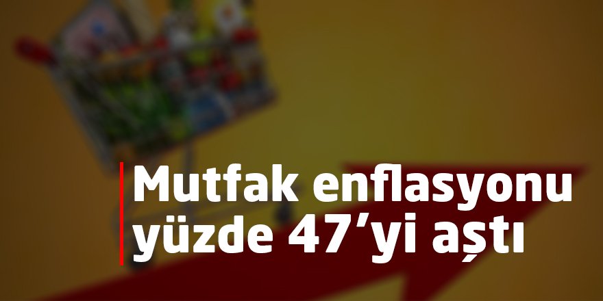 Mutfak enflasyonu yüzde 47’yi aştı