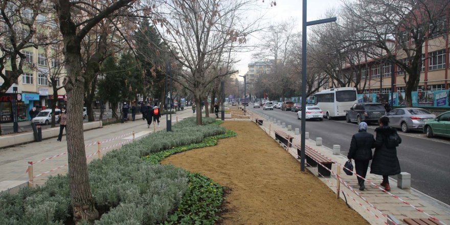 Yeni Yürüyüş Yolu yazın lavanta kokacak