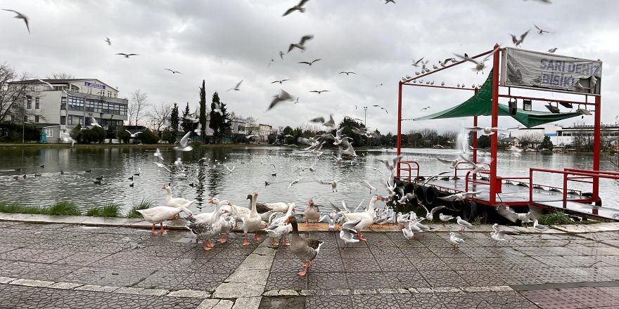Fuar alanındaki gölette kış sessizliği