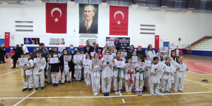 Taekwondo şöleninde 270 sporcu üst kuşağa terfi etti