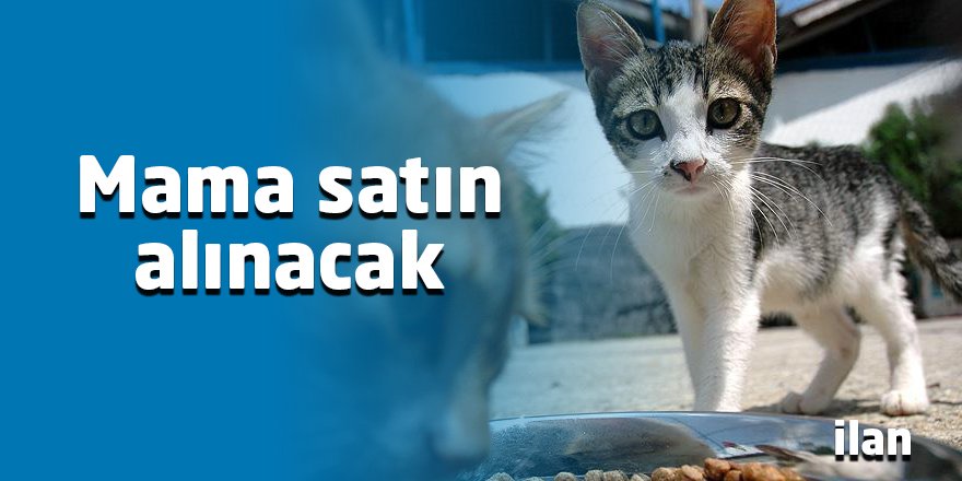 Mama satın alınacak