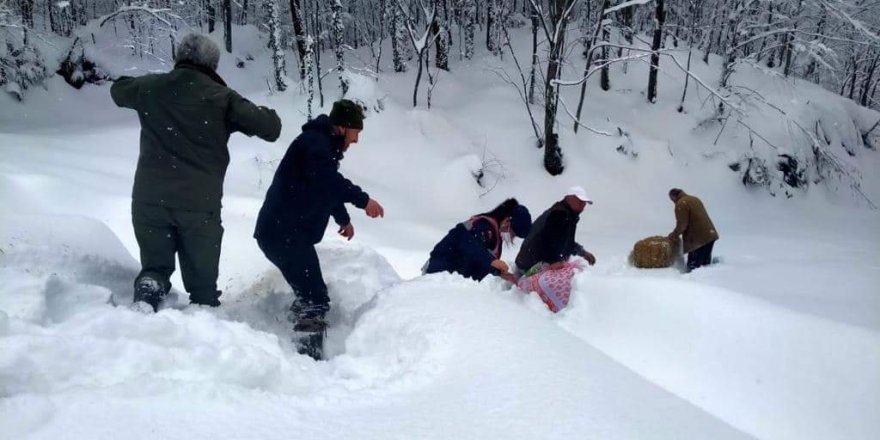 Her şey yaban hayvanları için