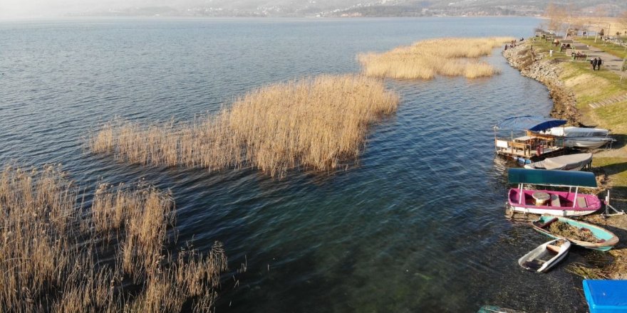 Sapanca Gölü’nden sevindiren haber