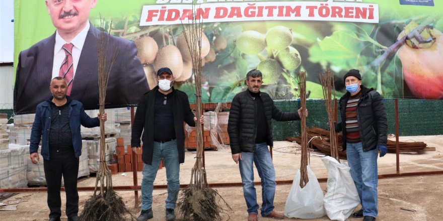 Büyükşehir’in yüzde 50 hibeli fidan dağıtımı başladı