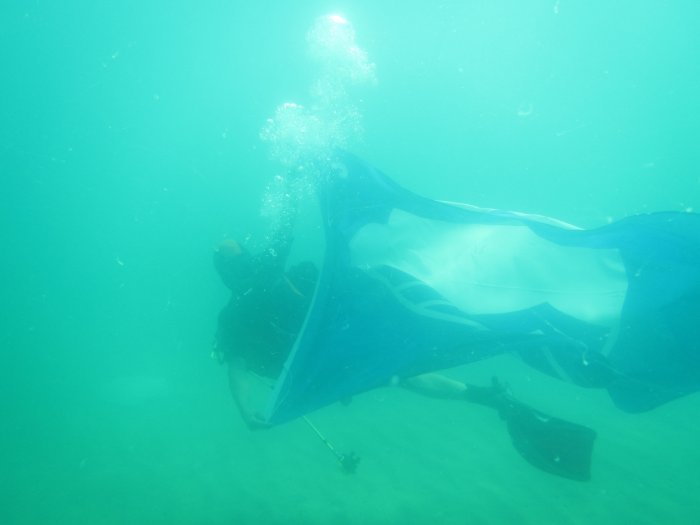 Cebeci’de denizin dibi de tertemiz