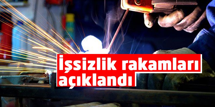 İşsizlik rakamları açıklandı