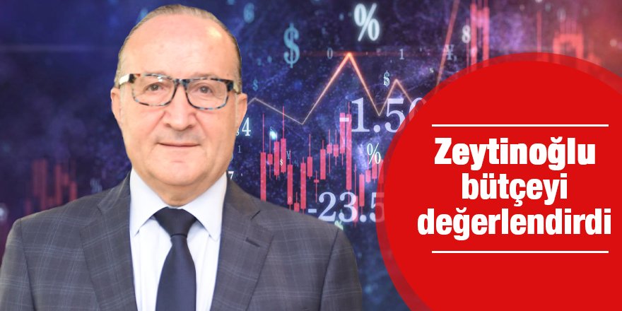 Zeytinoğlu bütçeyi değerlendirdi