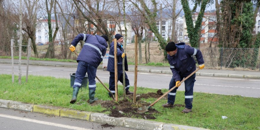 Ağaçlandırma çalışmaları devam ediyor