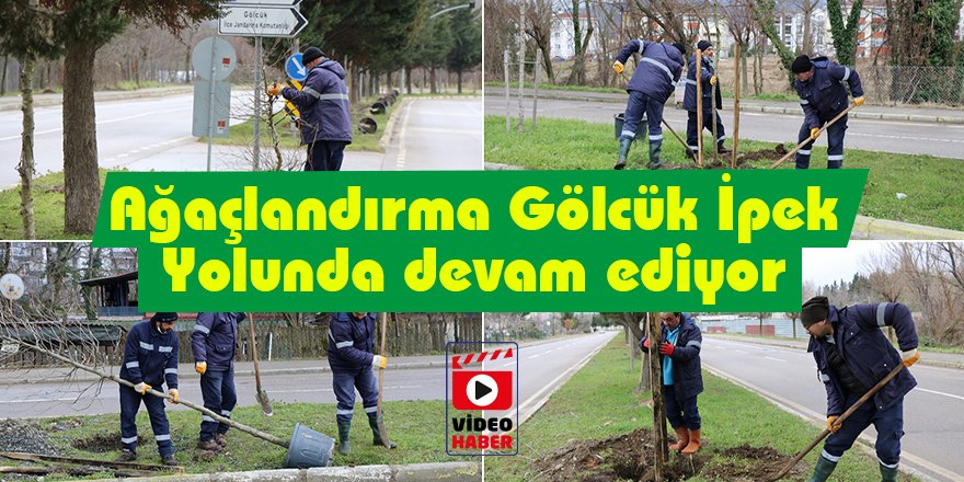 Ağaçlandırma Gölcük İpek Yolunda devam ediyor