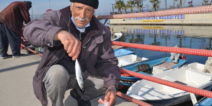 Olta balıkçıların yüzünü gülüyor