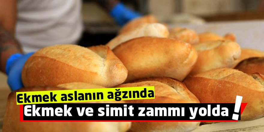 Ekmek aslanın ağzında