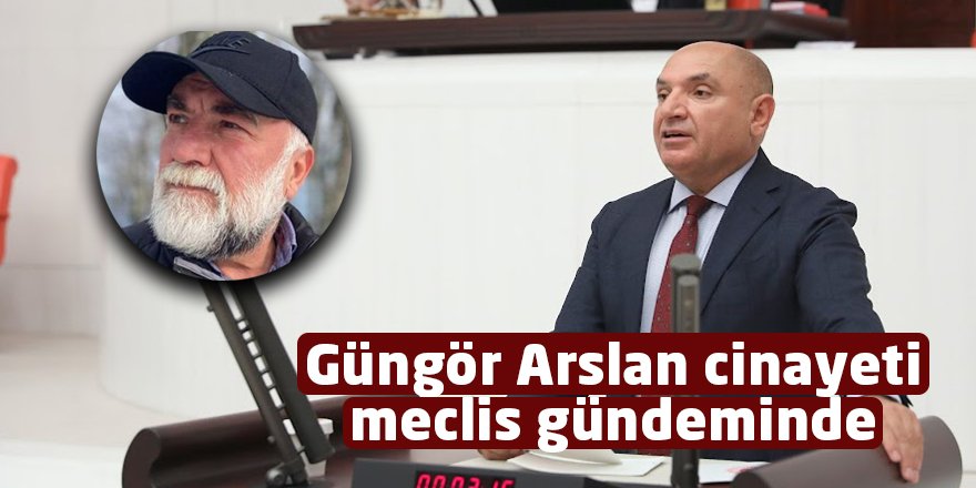 Güngör Arslan cinayeti meclis gündeminde