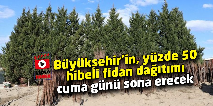 Büyükşehir’in, yüzde 50 hibeli fidan dağıtımı cuma günü sona erecek