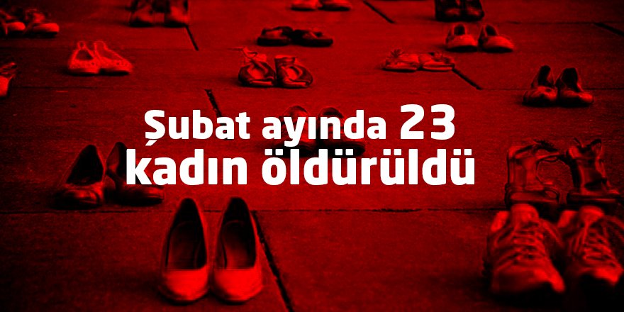 Şubat ayında 23 kadın öldürüldü