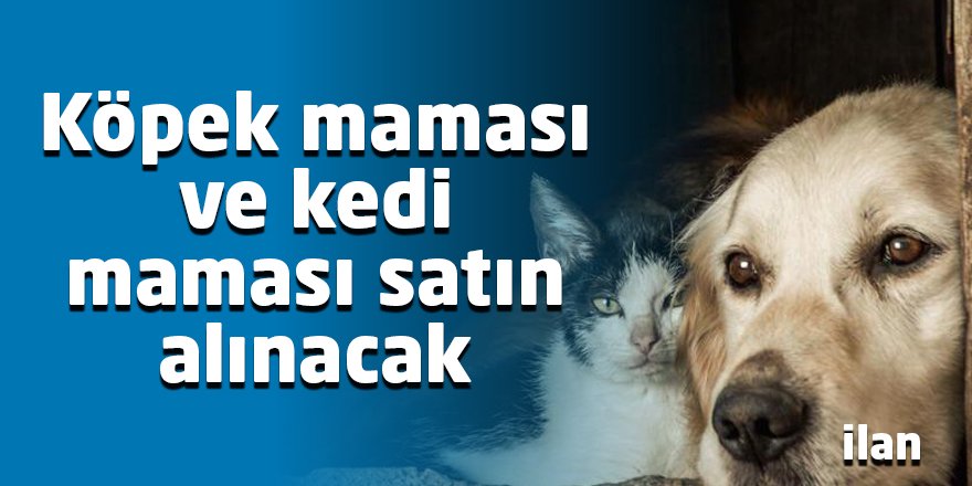 Köpek maması ve kedi maması satın alınacak