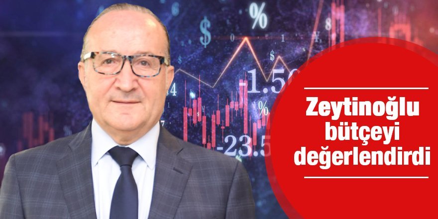 Zeytinoğlu bütçeyi değerlendirdi