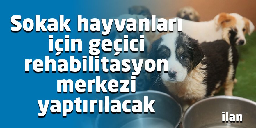Sokak hayvanları için geçici rehabilitasyon merkezi yaptırılacak