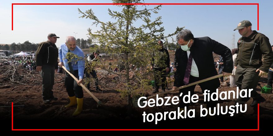 Gebze’de fidanlar toprakla buluştu