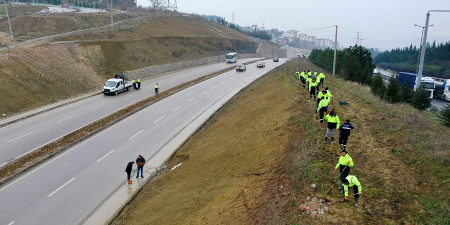 Şehir Hastanesi yolunda çevre düzenlemesi