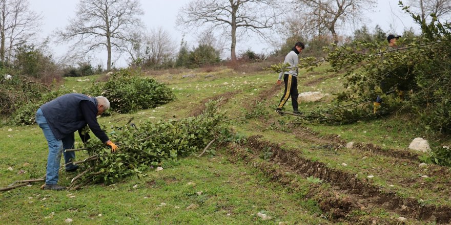 Defne, kırsalda yaşayanlara gelir kapısı oldu