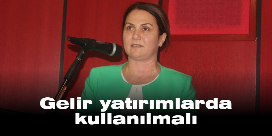 Gelir yatırımlarda kullanılmalı