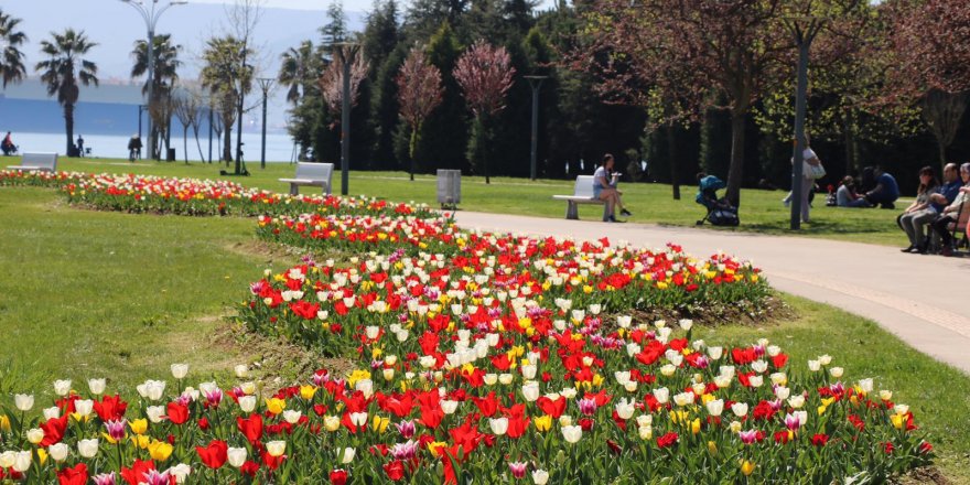 Belediye “olsun biz yine dikeriz” dedi