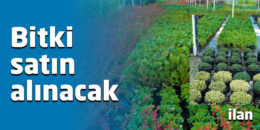 Bitki satın alınacak