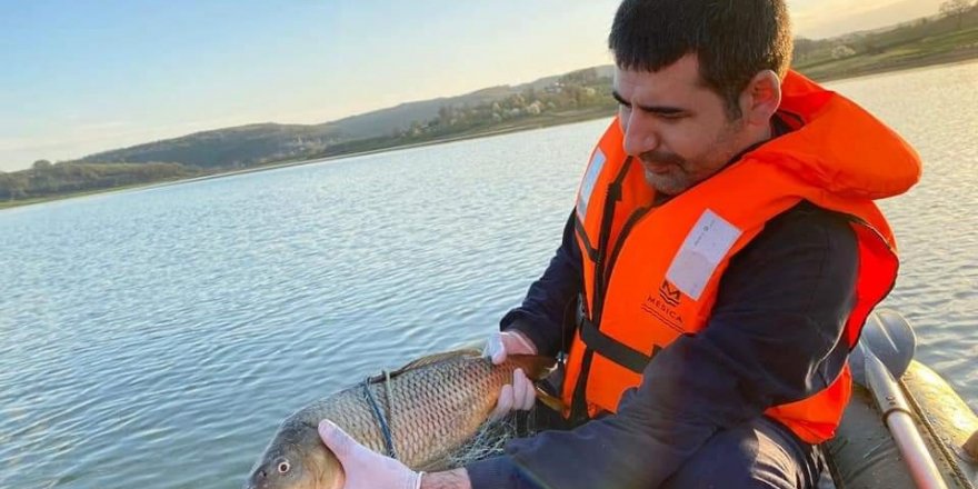 Bilinçli avcılar katliamını önledi