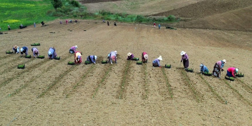 Büyükşehir’e destek başvuruları 22 Nisan’da sona eriyor